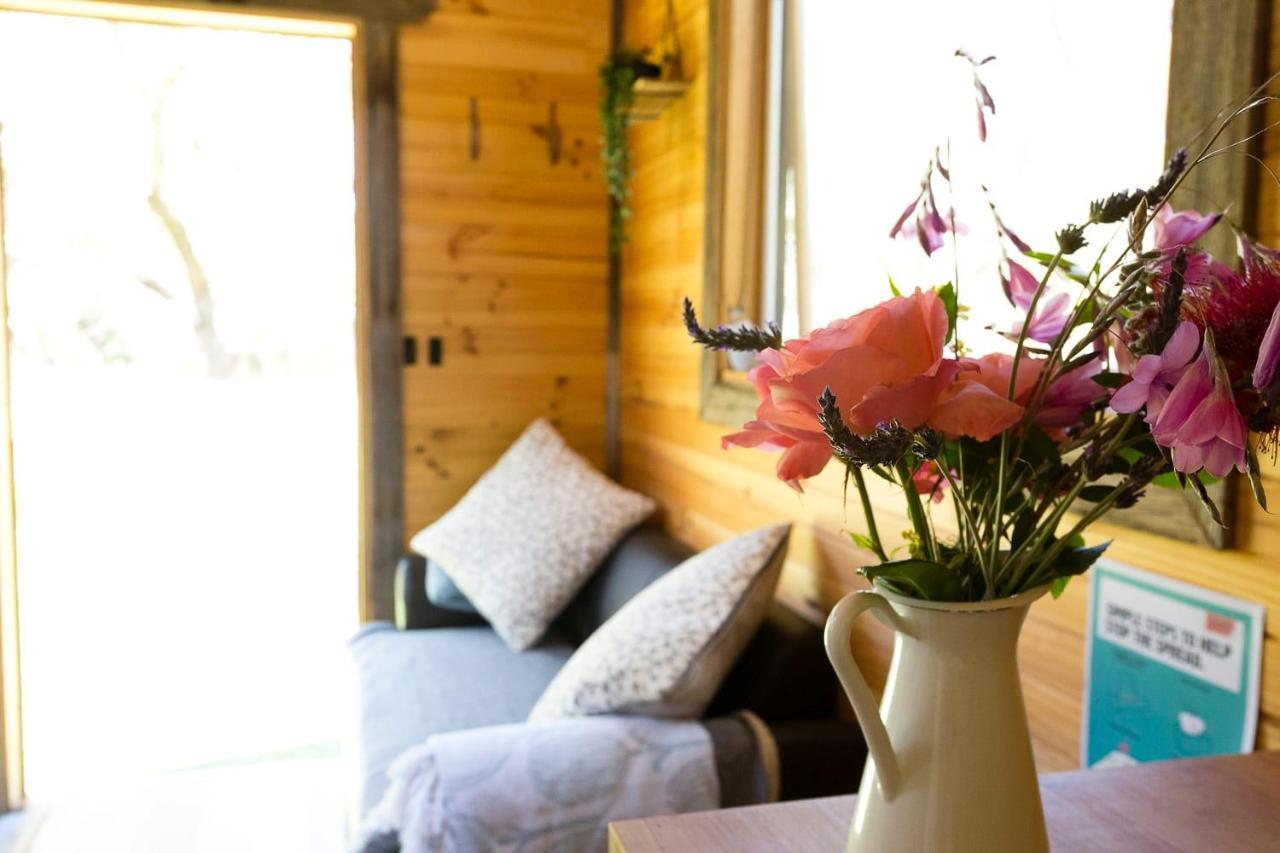 Ardingly Tiny House Villa Newham Kültér fotó